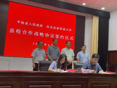 263cb86f25ad48c5bb679469a78df2c9.jpg 2.jpg