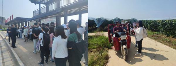 bfb0fa92eb254ba681e39c5412d1600a.jpg 2.jpg