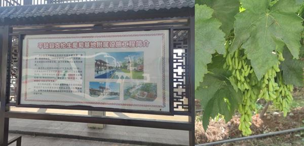 dd47ae83bbd54c43a2bbe8d8558fade2.jpg QQ图片20230625182155.jpg