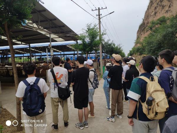 42cafd12e31d4ecbb39b15dec9654fe7.jpg 1.jpg